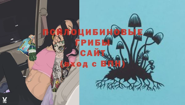 apvp Абинск
