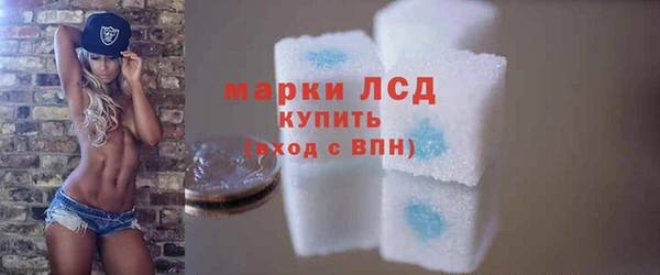ПСИЛОЦИБИНОВЫЕ ГРИБЫ Абаза