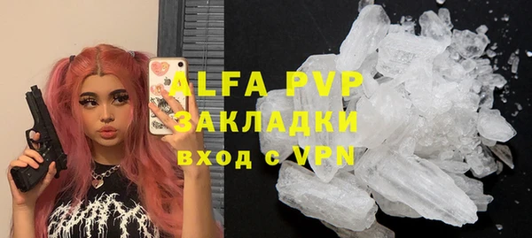 индика Воткинск