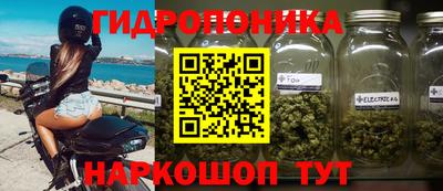 ALPHA PVP Гусев