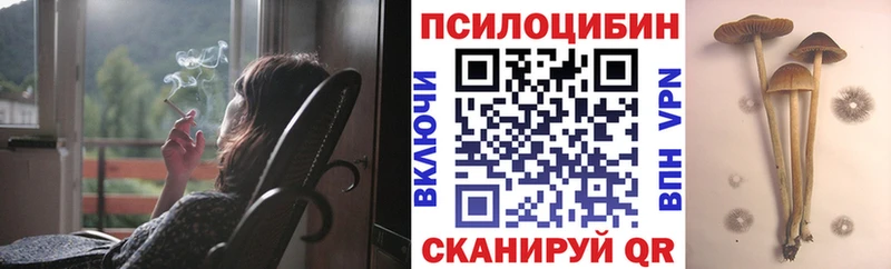 купить   Каменка  Псилоцибиновые грибы мухоморы 