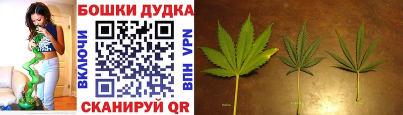 МАРИХУАНА Ganja  Каменка 